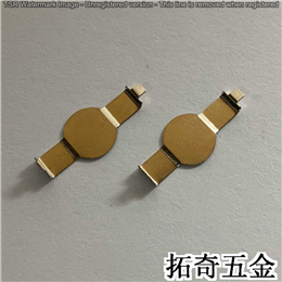 電池彈片 P3880 開模定制