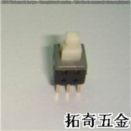輕觸開關(guān) 5.8*5.8雙排 開模定制