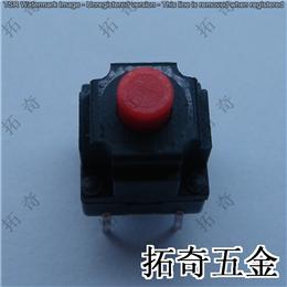 輕觸開關(guān) 10*10防水 開模定制